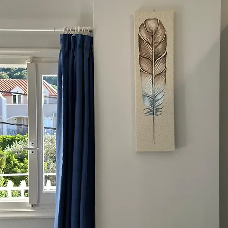 Venus カテリオス