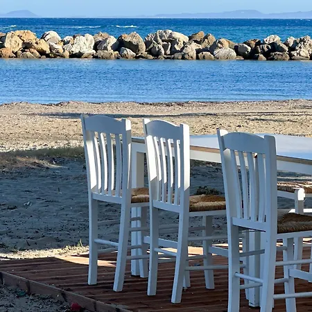 ゲストハウス Venus