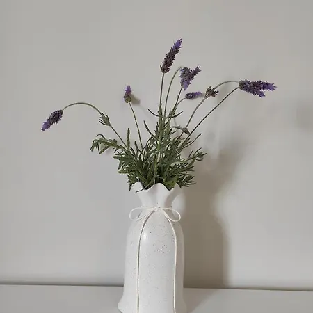 Venus 케텔리오스